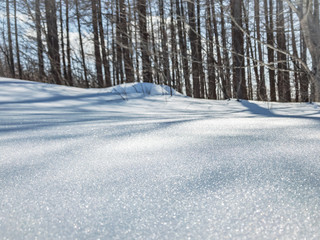 雪の絨毯