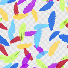 Seamless pattern with colorful feathers. Vector background transparent