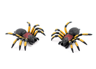 Spider tarantula toy stock photo images. Spider toy isolated on a white background. Two plastic spiders stock photo
