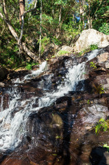 Cameron Falls waterfall on Mt Tamborine