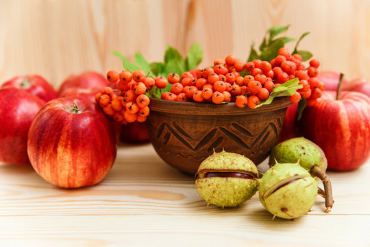 Autumnal composition with chestnuts,apples and rowanberrieswooden background.fall concept.