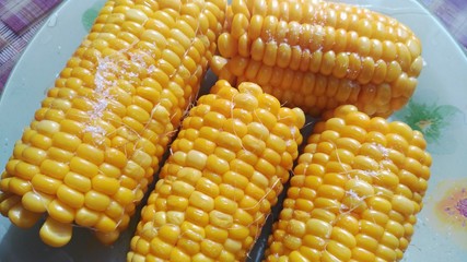 Corn cob, corn, fresh corn, yellow, corn kernels, vegetables, vegetarian, tasty, useful, food, agriculture, maize, harvest, grain, plants, nature, sweet corn, texture, background