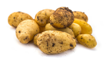 Pommes de terre