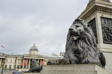 Lion at the base of the Nelson column in London in Trafalgar square