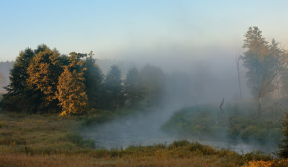 mglisty poranek nad rzeką Łyną - obrazy, fototapety, plakaty