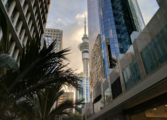 Sky Tower amongst other buildings, Auckland, New Zealand - obrazy, fototapety, plakaty