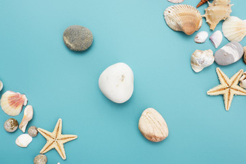 Frame of shells of various kinds on a blue background
