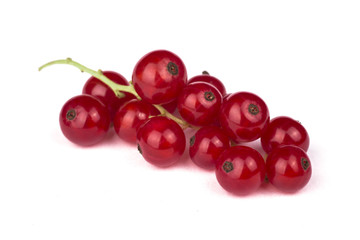 Red currant on white background