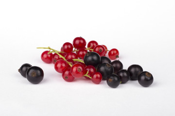 Black and red currants on a white background