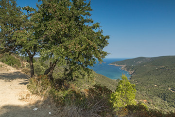Fototapeta na wymiar Panoramic view of Mamba Beach Ampelos at Sithonia peninsula, Chalkidiki, Central Macedonia, Greece