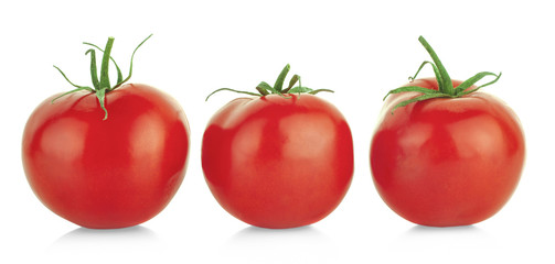 tomatoes isolated on the white background