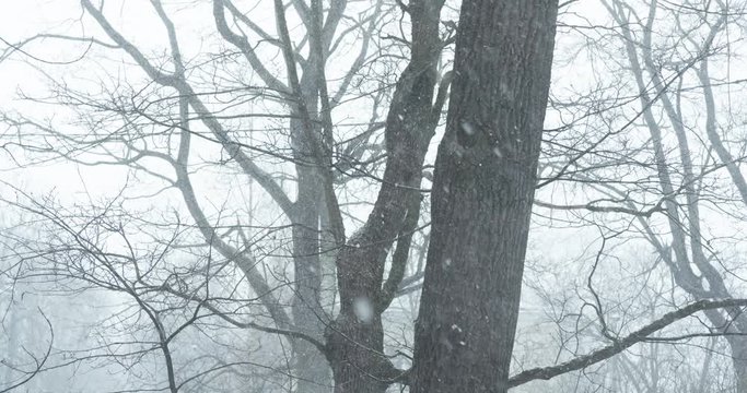 slow motion handheld shot of snow falling in small town shot from window