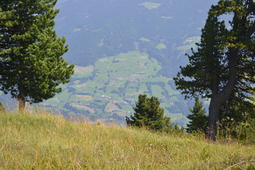 Berglandschaft mit vereinzelten B&auml;umen