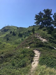 Berglandschaft mit Wanderpfad