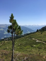 Berglandschaft mit Wanderpfad