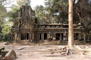 Fototapeta premium Ta Prohm temple