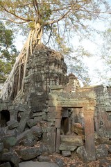 Fototapeta premium Ta Prohm temple