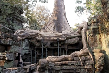 Ta Prohm temple