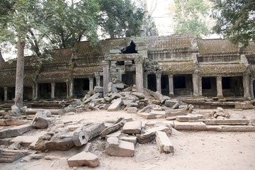 Fototapeta premium Ta Prohm temple