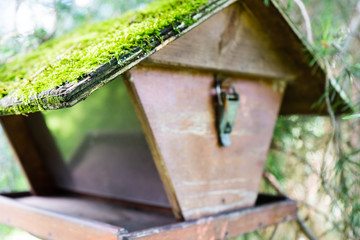 Bird house with tree on a wooden stick