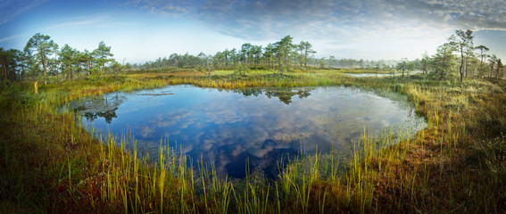 Sunrise in the bog. Icy cold marsh. Frosty ground. Swamp lake and nature. Freeze temperatures in moor. Muskeg natural environment. Beautiful trees, sky and cloud reflection in water in the fen.