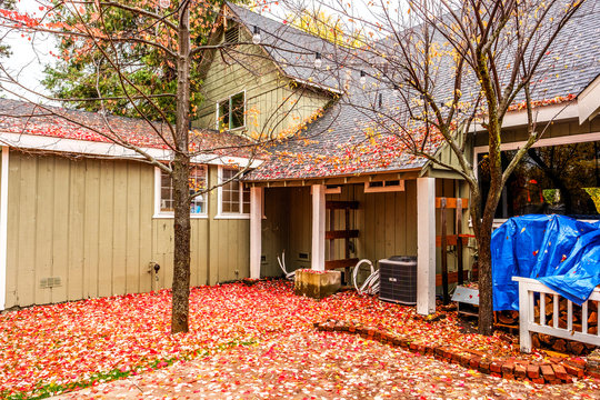 Residential Home With Garden Backyard At Autumn Rainy Day