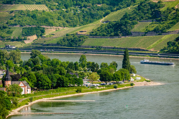 Vineyards at Rhine Valley in Germany