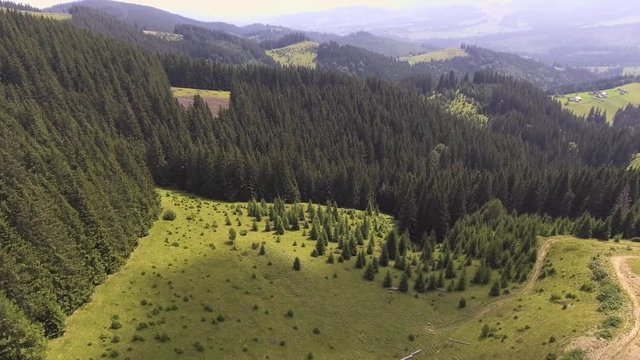Flight in the mountains over the summer Carpathian forest.