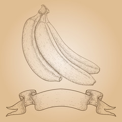 Banana. Hand drawn sketch on beige background