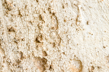 white concrete wall texture