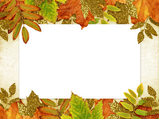 Naklejka na ściany i meble Colorful and golden autumn leaves with a card