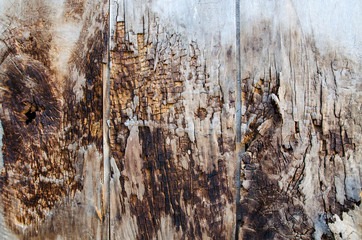 Burned wooden wall