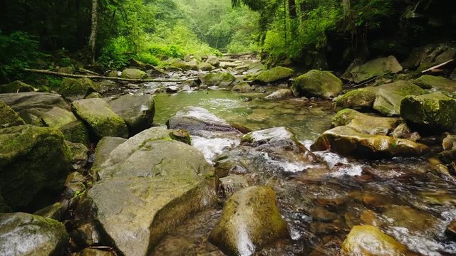 Mountain river or stream flows through the forest. The water boils on large stones. Ecology and clean environment