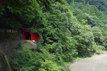 自然に映える赤色のトンネル