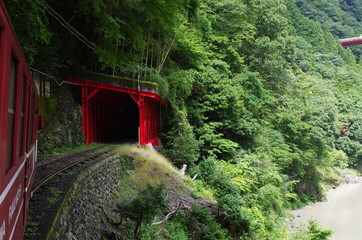 自然に映える赤色のトンネル