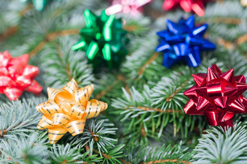 Christmas decoration on spruce twig