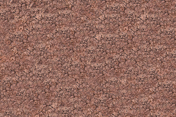 Texture earth dry brown rocky background base