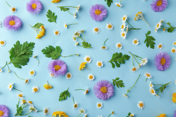 Scattered field flowers on color background