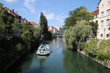 Obraz premium Ljubljana
