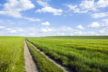 Fototapeta na wymiar Dirt road, field, meadow and clouds in the sky