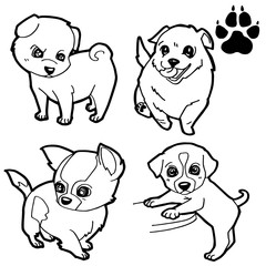 dog cartoon  and dog paw print  coloring book on white background vector
