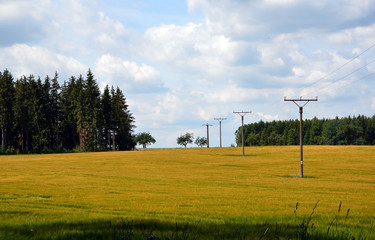 Fototapeta na wymiar summer landscape with field and power line photography