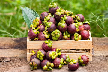 Mangosteen in a wooden box on a white background