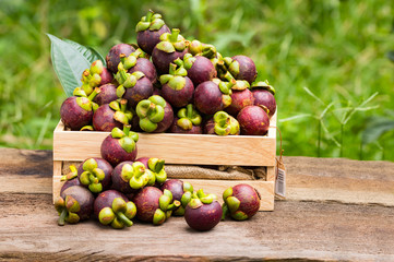 Mangosteen in a wooden box on a white background