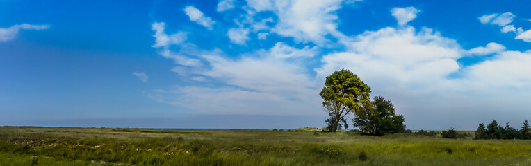 Fototapeta na wymiar Panorama Baum mit Wiese, Wolken, Himmel und Meer