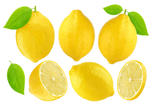 Lemons collection isolated on white background