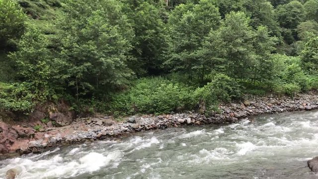 fast flowing river (firtina deresi )  forest and mountain, from rize turkey
