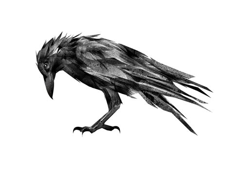 painted Raven on a white background