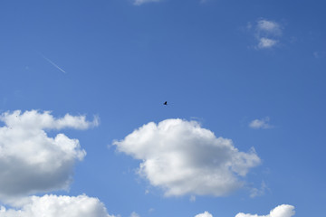 ciel