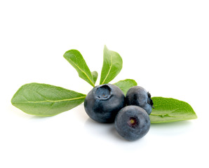 Blueberries with leaves on white background.